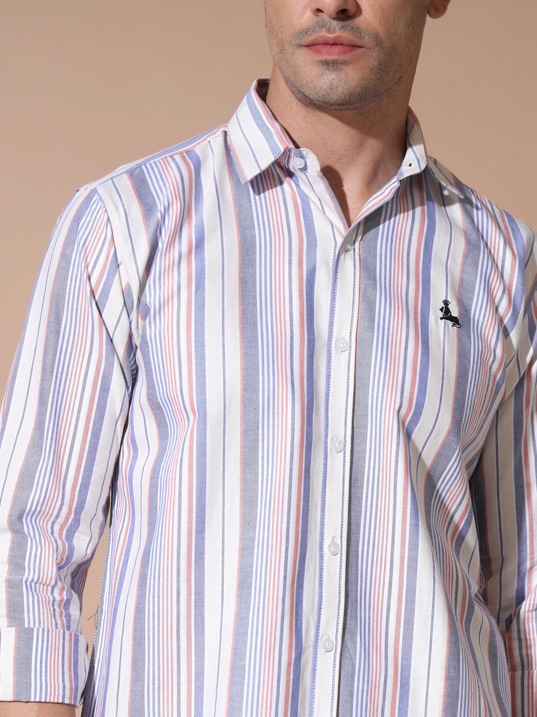 Multi Stripe Oxford Shirt