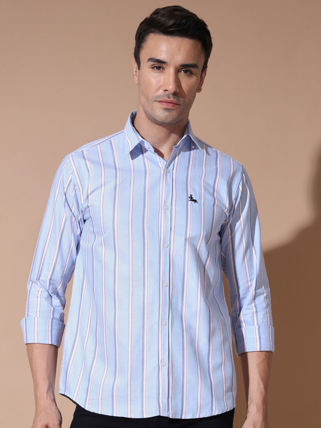 Blue Stripe Oxford Shirt