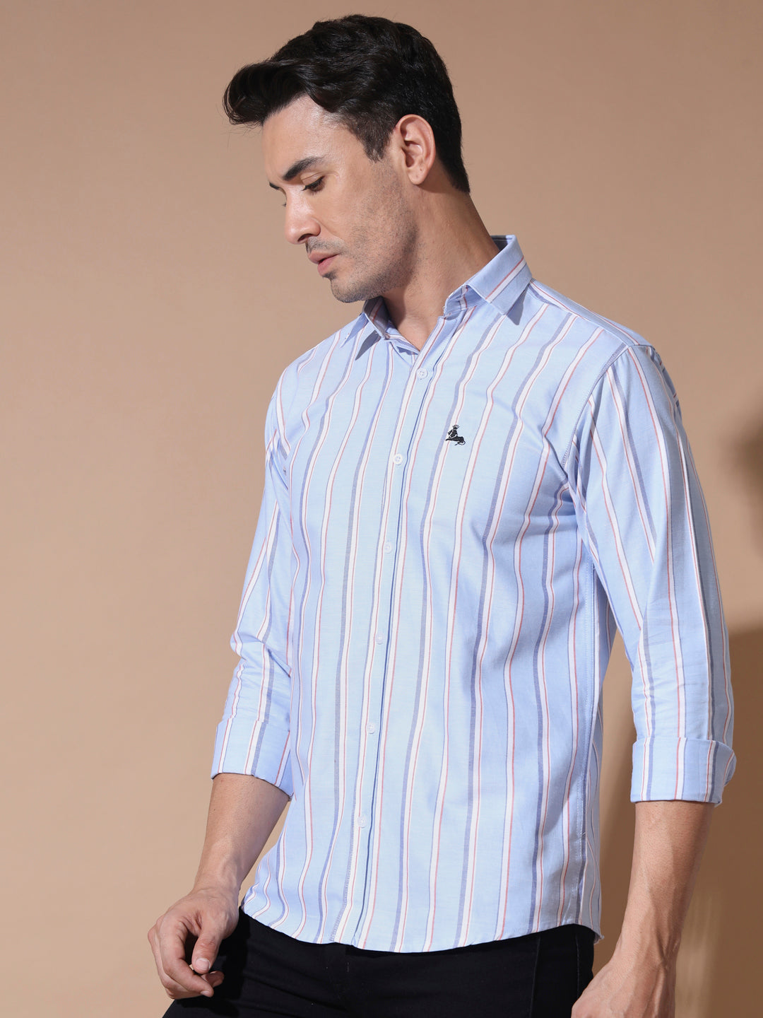 Blue Stripe Oxford Shirt