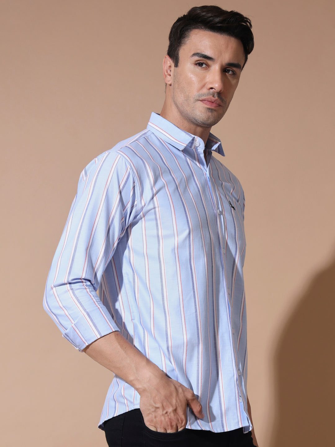 Blue Stripe Oxford Shirt