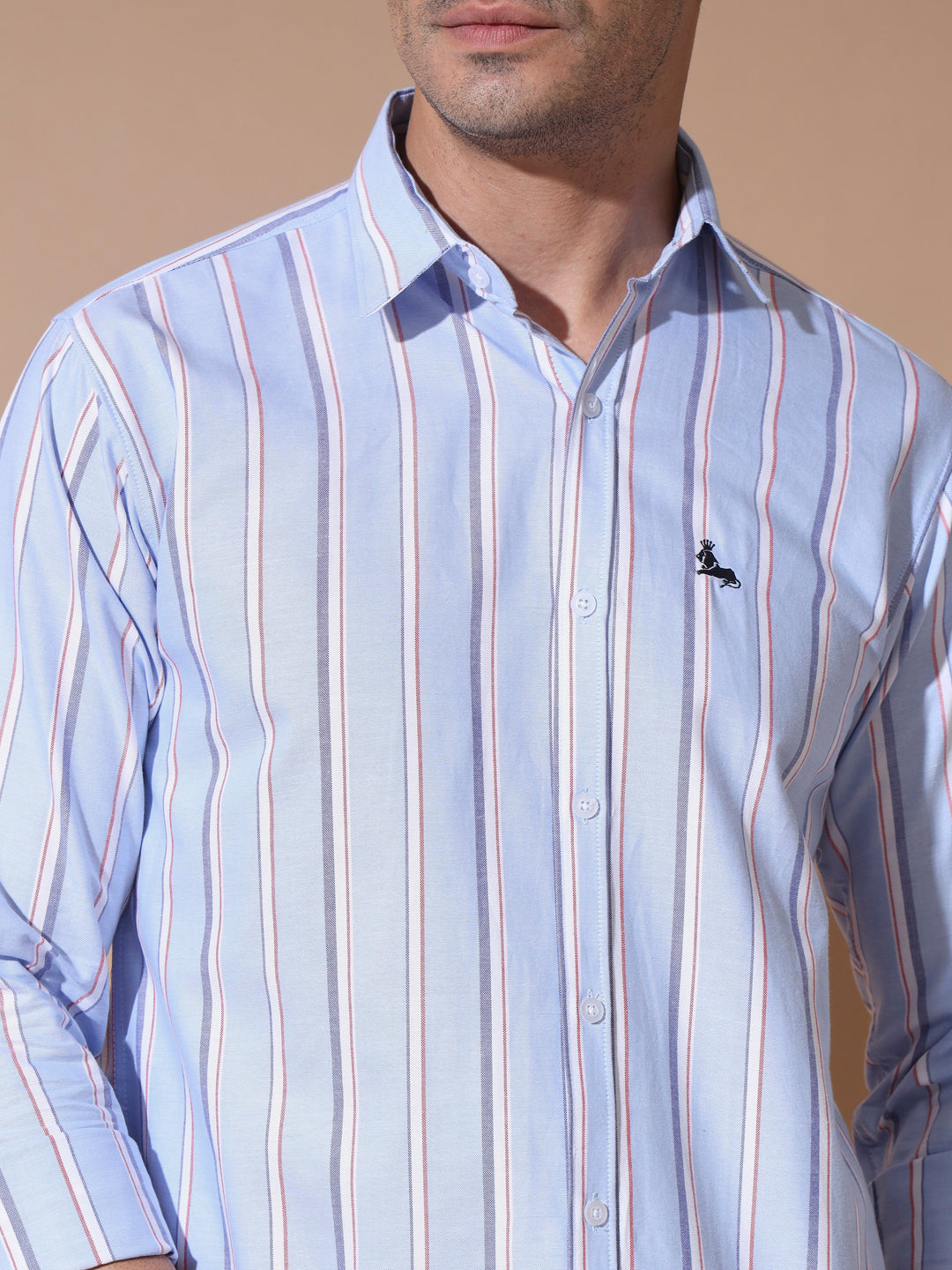 Blue Stripe Oxford Shirt