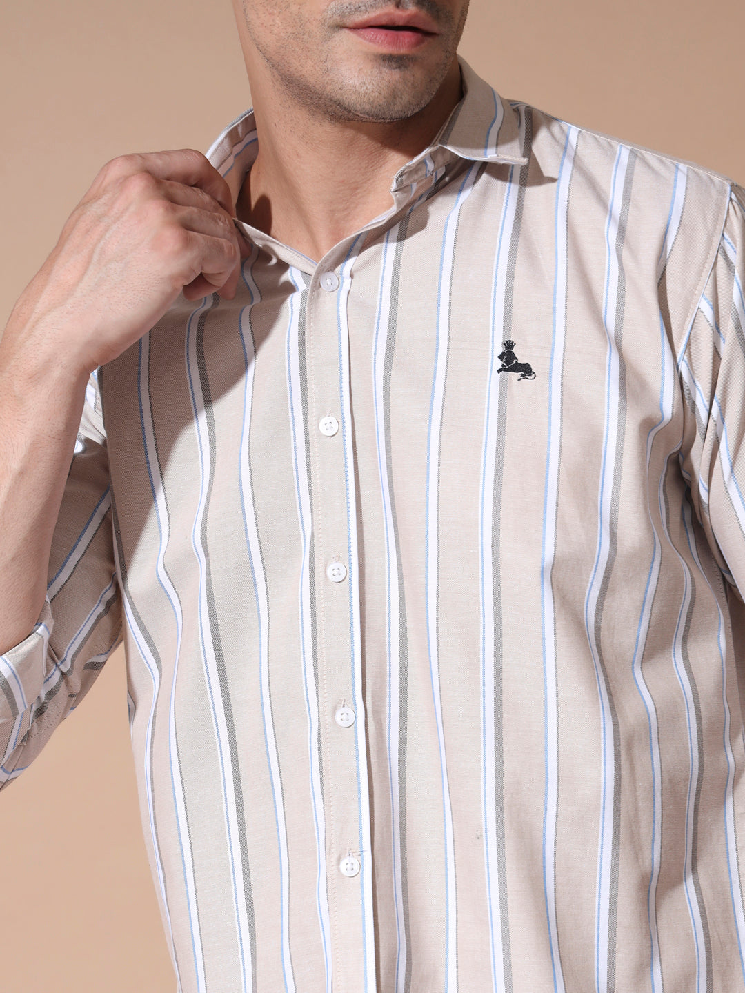 Brown Stripe Oxford Shirts