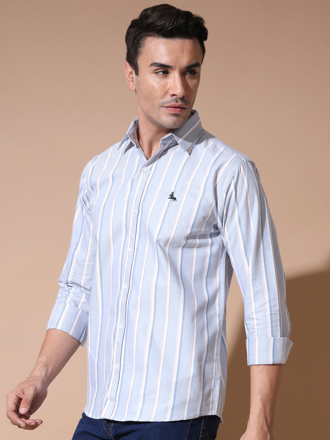 Grey Stripe Oxford Shirt