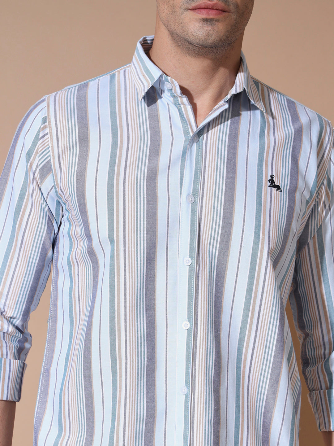 Classic Stripe Oxford Shirt