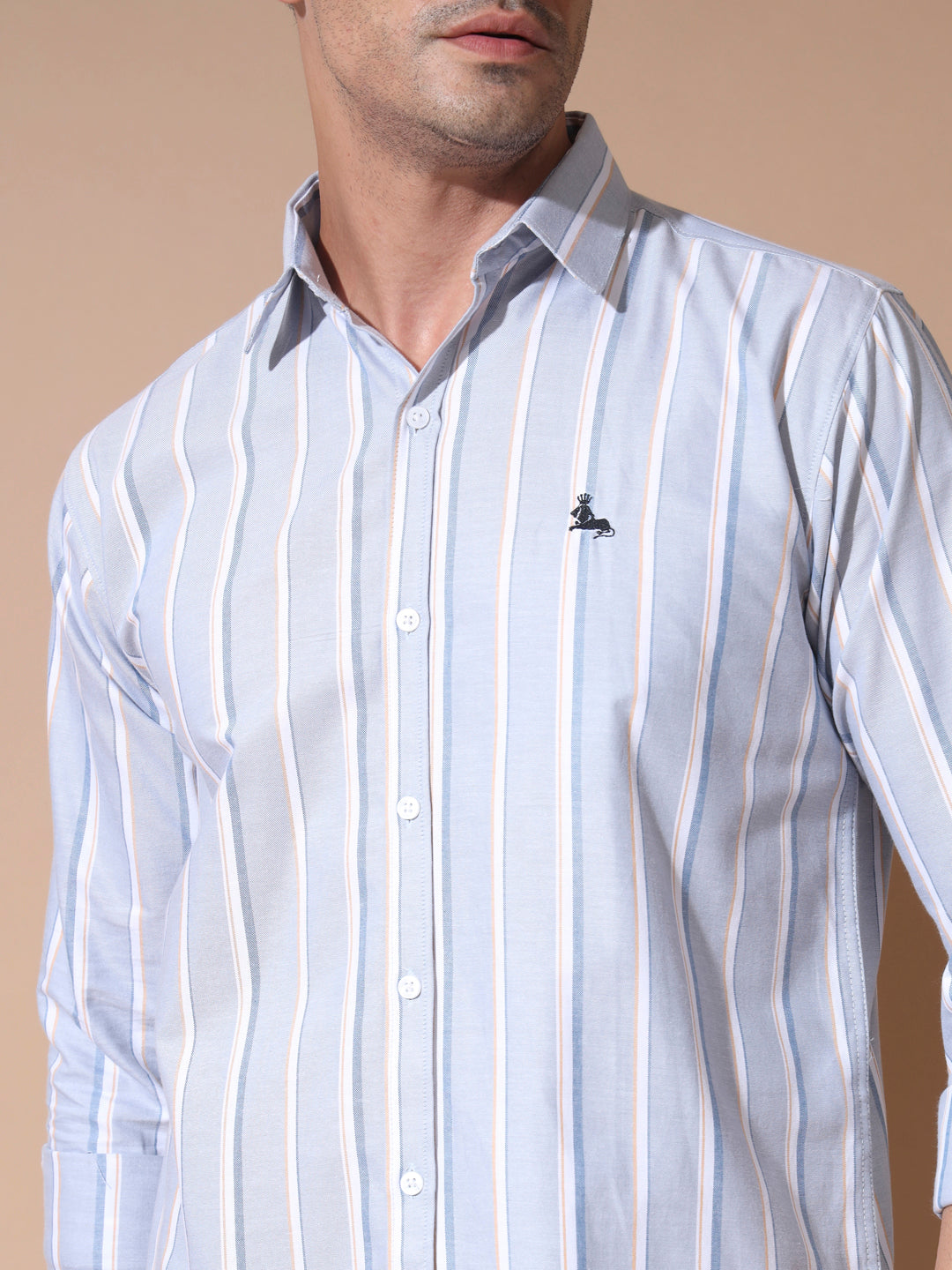 Grey Stripe Oxford Shirt